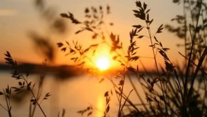 Молчание приоткрывает реальность