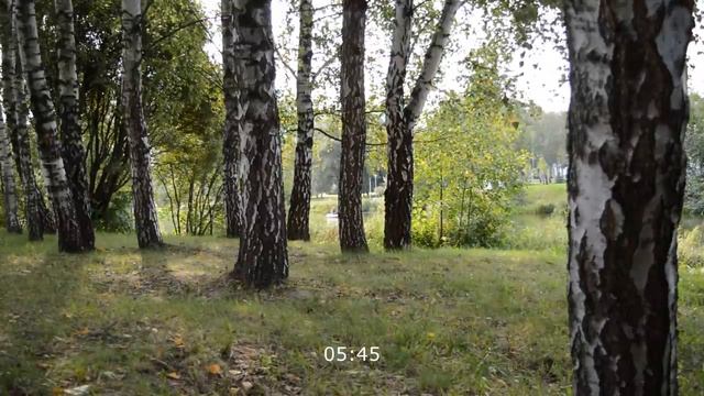 САНТА-БАРБАРА на болезни дочери. Интересные истории из жизни. Жизненные истории. Аудио рассказ смотреть онлайн