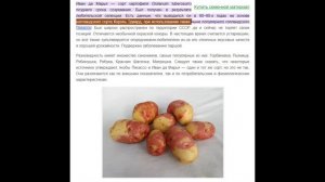 Какую картошку купить на зиму ? / Картошка Иван Да Марья картофель Пикассо