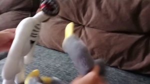 БОЙ ХАГИ ВАГИ И СЕРЕНОГОЛОВОГО! кто выиграл??