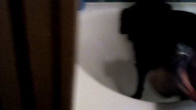 Как правильна мыть собаку смотреть онлайн