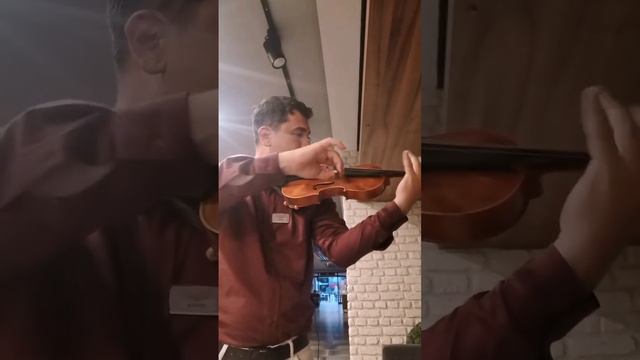 barış Öztürk Я играю #скрипка #музыка #müzik teoskeman смотреть онлайн