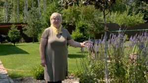 Вперед, товарищи! На дачу! Выпуск 15.08.23