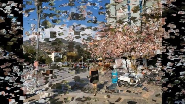 Уникальное, редкое, цветущие Хлопковое Дерево на планете!|Хлопок на дереве!.|Сейба|Бутылочное дерев