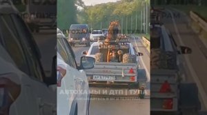 Под Тулой заметили машину с прицепом, в котором сидел пес