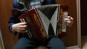 Ал син миннэн голлэремне.