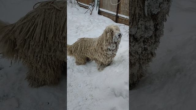 Болтушка