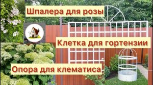 Июнь. Клетка для гортензии. Новая шпалера. Архив 2024.