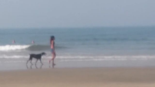 #Гоа#."я гуляю с доберманом..." смотреть онлайн