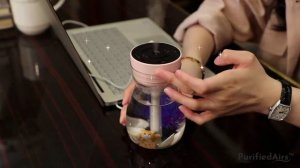 Micro Landscape Humidifiers