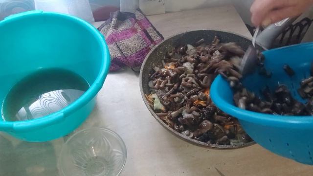 як я тушу опеньки з картоплею . смотреть онлайн