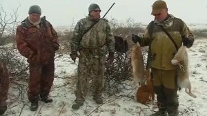 Охота на зайца в Белоруссии