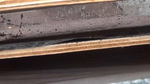 Крыша , вентилируемый конёк