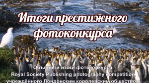 Royal Society Publishing photography competition, учреждённого Лондонским королевским обществом.