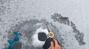 Зимняя рыбалка 2022 Рыбалка зимой на маропедку Окунь на маропедку сделанную своими руками