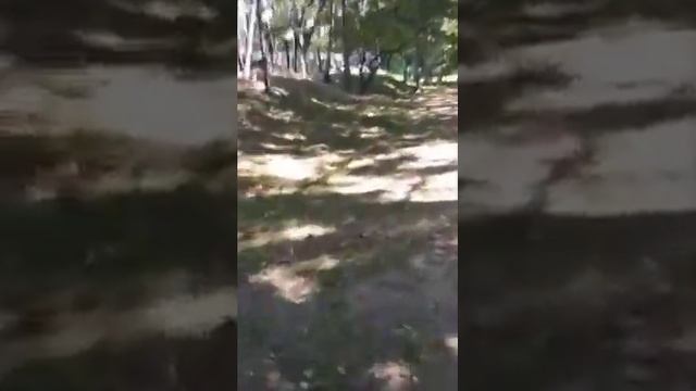 Про очищение и здоровье..mp4 смотреть онлайн