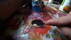 Промысел 2017  #15  Тропление соболя, быт, промысловые элементы.