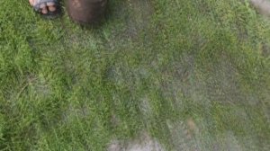 Холодильник в металлолом. Достал всю МЕДЬ из холодильника