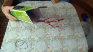 Виноград Кодрянка. Небольшой обзор саженца.