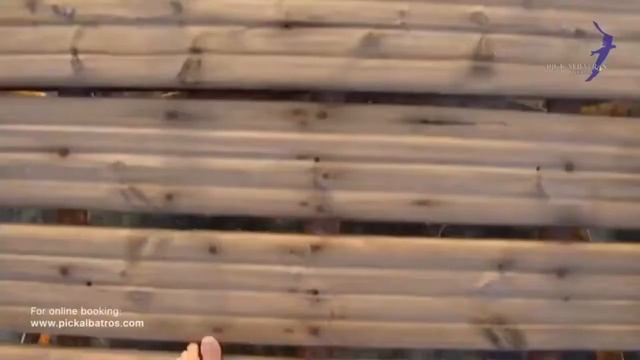 ROYAL ALBATROS MODERNA,Sharm El Sheikh смотреть онлайн