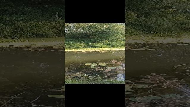 Безупречная красота