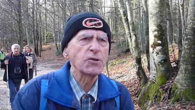 Viševica BRANA смотреть онлайн