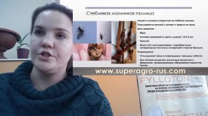 Защита малины и ежевики от болезней и вредителей