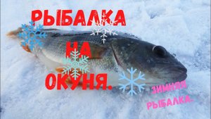 Рыбалка на окуня зимой