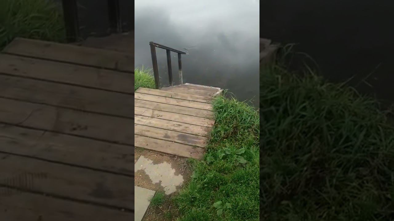 23 сентября 2022 г. смотреть онлайн