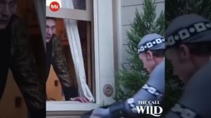 Как на самом деле снимали собак в фильме Зов предков