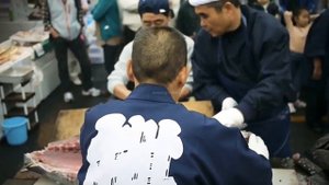 Япония Морепродукты-Шоу Тунца, Разделка на Филейные Части