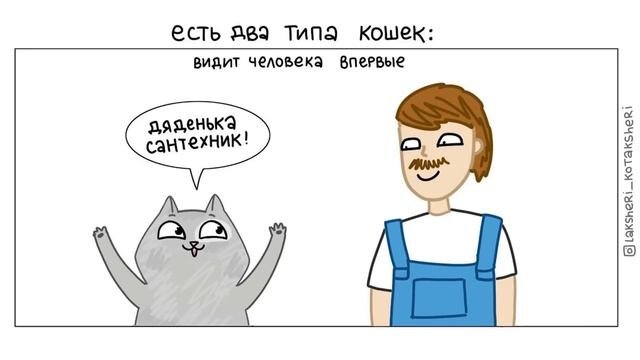 КОТО-КОМИКСЫ) Лакшери-Котакшери | Мемозг 1264