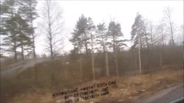 Электропоезд "Санкт-Петербург-Балтийский - Ораниенбаум-1"