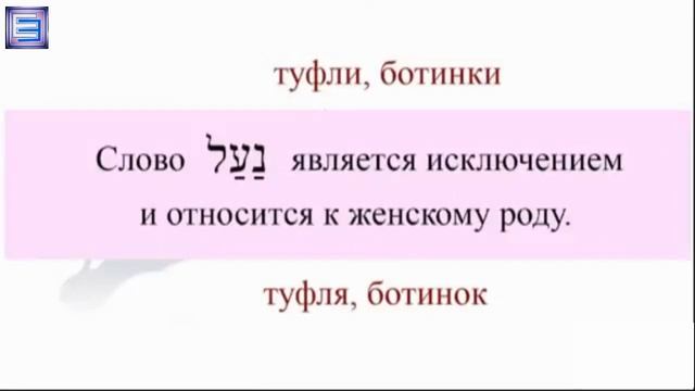 УРОК №10 (обновленный) Двойственное число в иврите. Парные части тела. смотреть онлайн