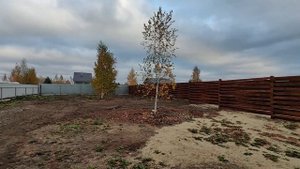 Переезд в Тюмень_Обзор д.Ушаково