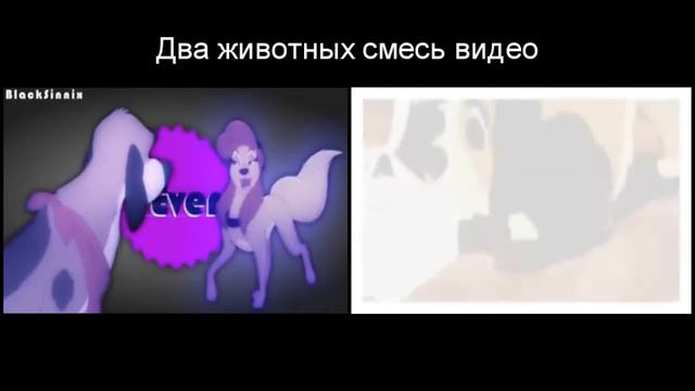 Два животных смесь видео смотреть онлайн