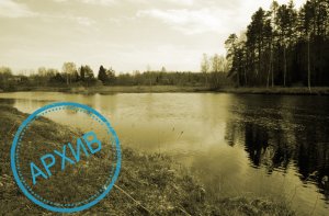 Участок в деревне Глазово