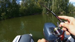 Искать и найти. Ловля крупного окуня на ультралайт спиннинг. Микроджиг в августе