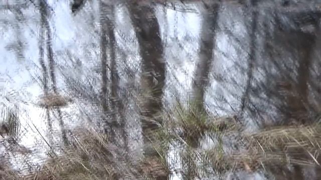 Ищу самородки металлоискателем Eureka Gold!!! смотреть онлайн