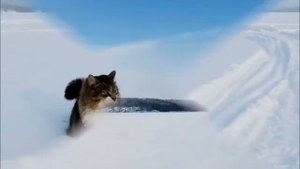 Тайны Ладожских шхер