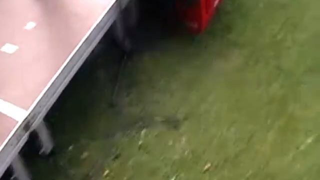 Reggae@Tennis Union Mouscron.mpg смотреть онлайн