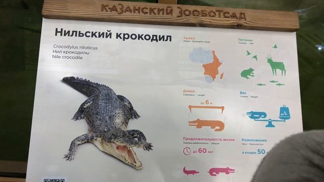 Казань. Новый Зоопарк Река Замбези открыт
