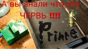 Черный Принц Представляет