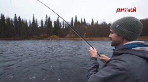 На мушку! На Варзуге и ее притоках. Часть 2