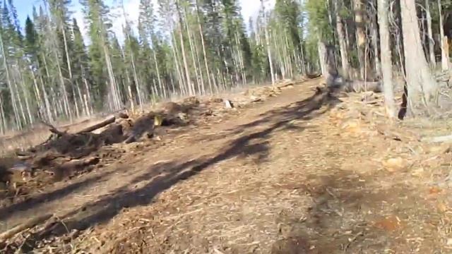 Сабираю бороду лешего! смотреть онлайн