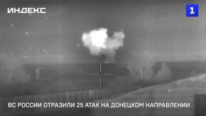 ВС России отразили 25 атак на Донецком направлении