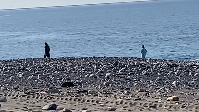 АБХАЗИЯ !Солнышко ! Тепло ! Наши Приключения в Абхазии Очень Хорошие Хозяева Фруктовый сад Мандарин смотреть онлайн