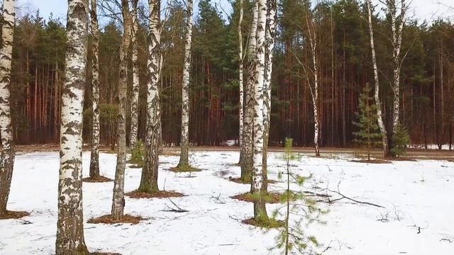 8 самых опасных дней в марте 2022 года. Неблагоприятные дни марта