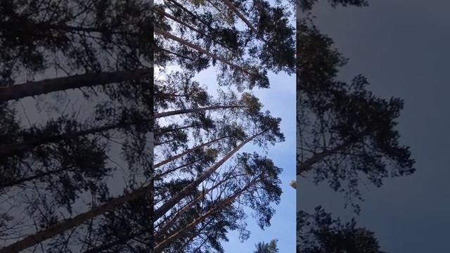 Медитация - РАсслабления в энергиях нового времени. смотреть онлайн