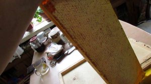 полный отказ от вощины и рамок из дерева - часть 3 - распечатка рамок и откачка меда